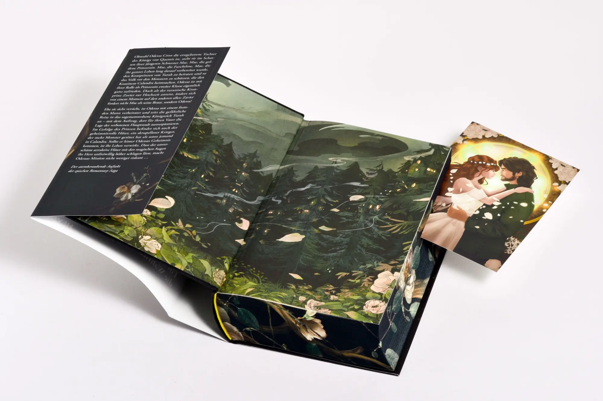 Bild: 9783453275294 | Shield of Sparrows | Devney Perry | Buch | Shield of Sparrows | 752 S.