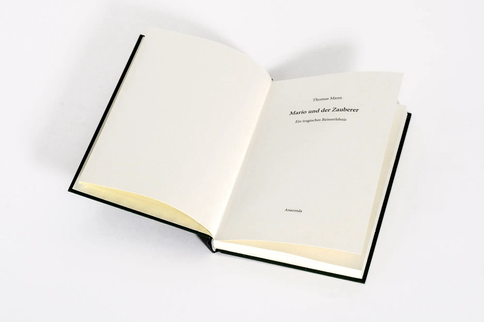 Bild: 9783730615294 | Mario und der Zauberer | Thomas Mann | Buch | 80 S. | Deutsch | 2026