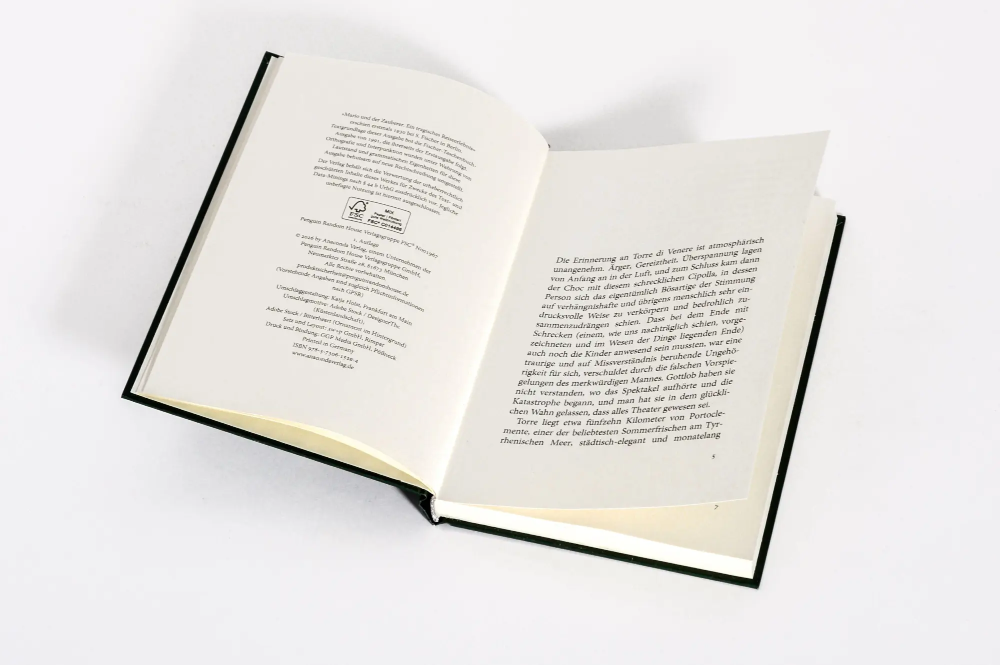 Bild: 9783730615294 | Mario und der Zauberer | Thomas Mann | Buch | 80 S. | Deutsch | 2026