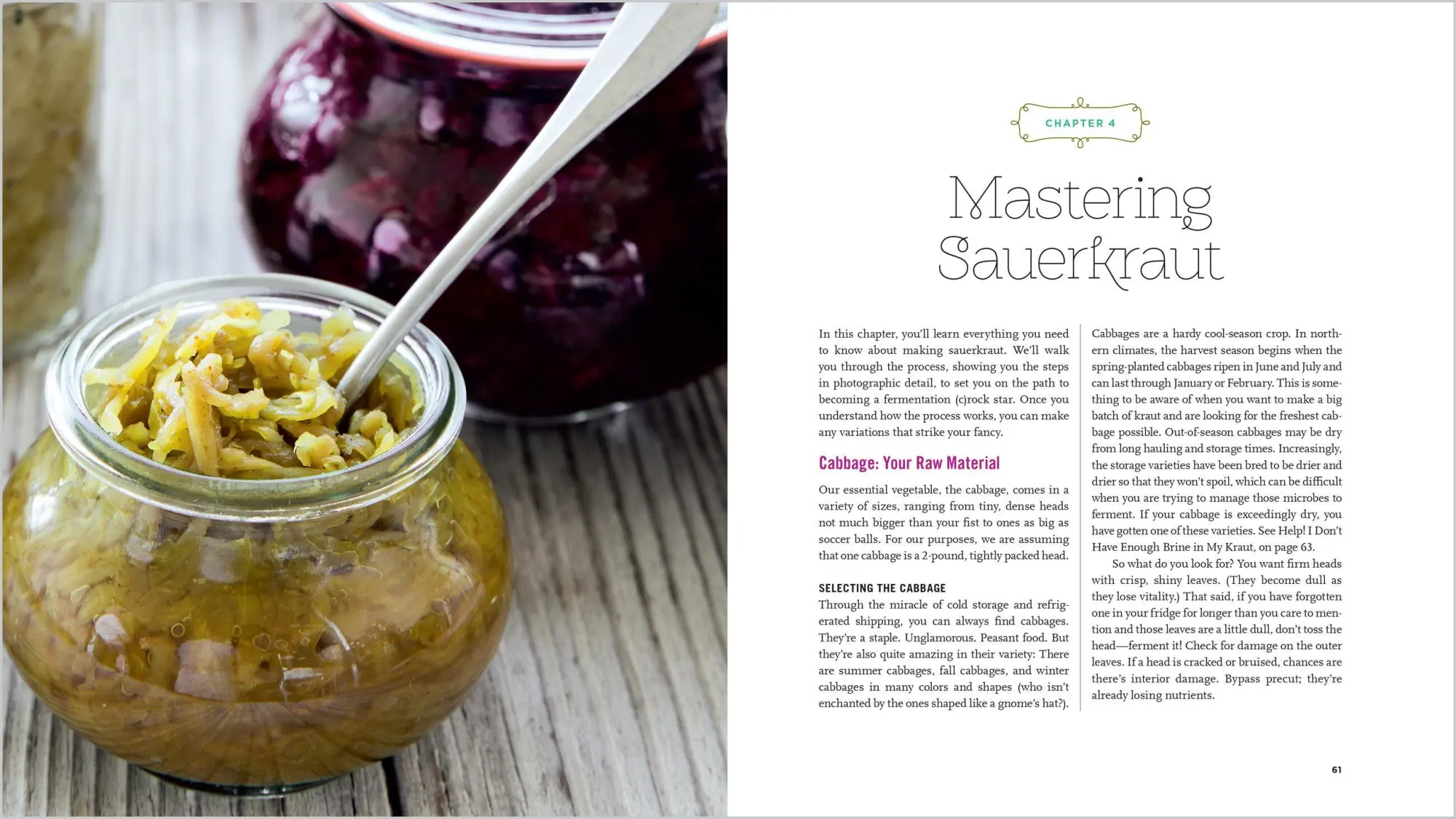 Bild: 9781635865394 | Fermented Vegetables, 10th Anniversary Edition | Shockey (u. a.)