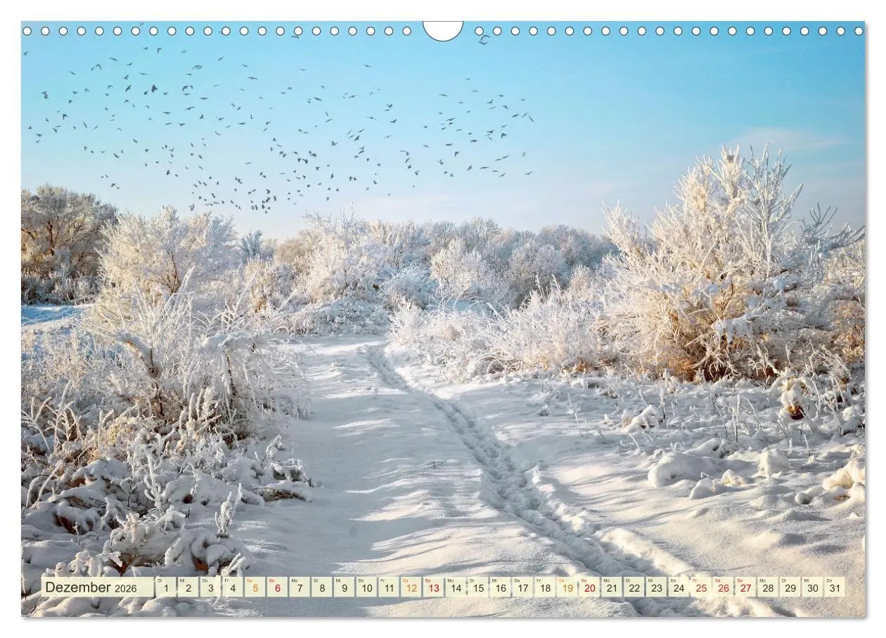 Bild: 9783457915394 | Traumwege entdecken (Wandkalender 2026 DIN A3 quer), CALVENDO...