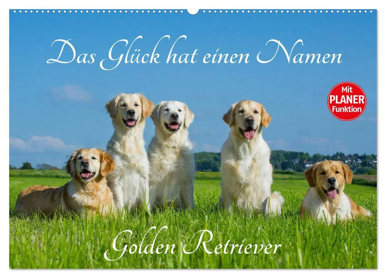 Cover: 9783516005394 | Das Glück hat einen Namen - Golden Retriever (Wandkalender 2026 DIN...