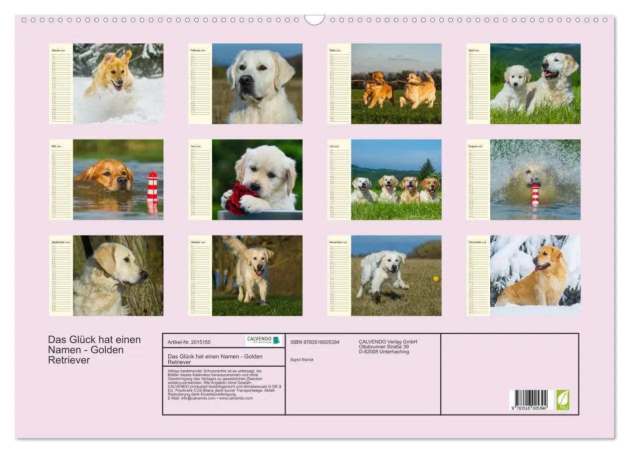 Bild: 9783516005394 | Das Glück hat einen Namen - Golden Retriever (Wandkalender 2026 DIN...