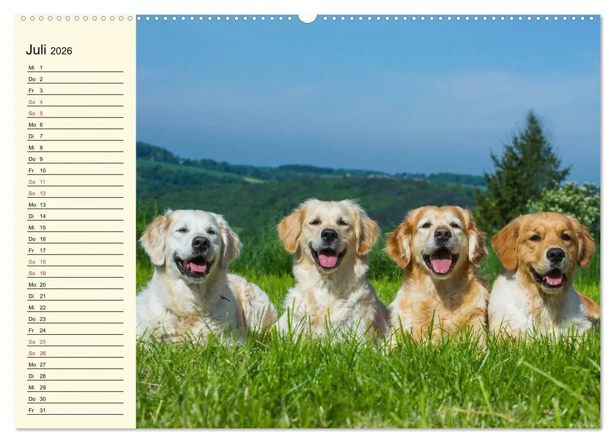 Bild: 9783516005394 | Das Glück hat einen Namen - Golden Retriever (Wandkalender 2026 DIN...