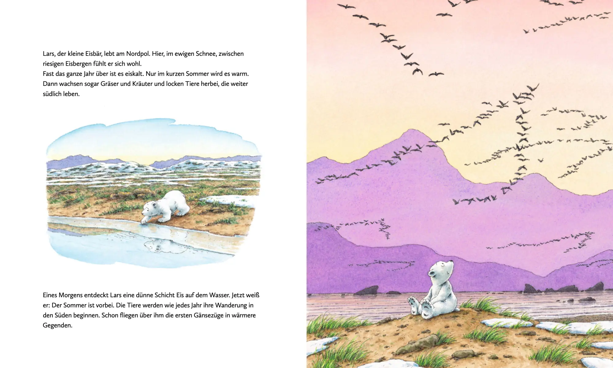 Bild: 9783314105494 | Kleiner Eisbär. Lars rettet die Rentiere | Hans de Beer | Buch | 32 S.