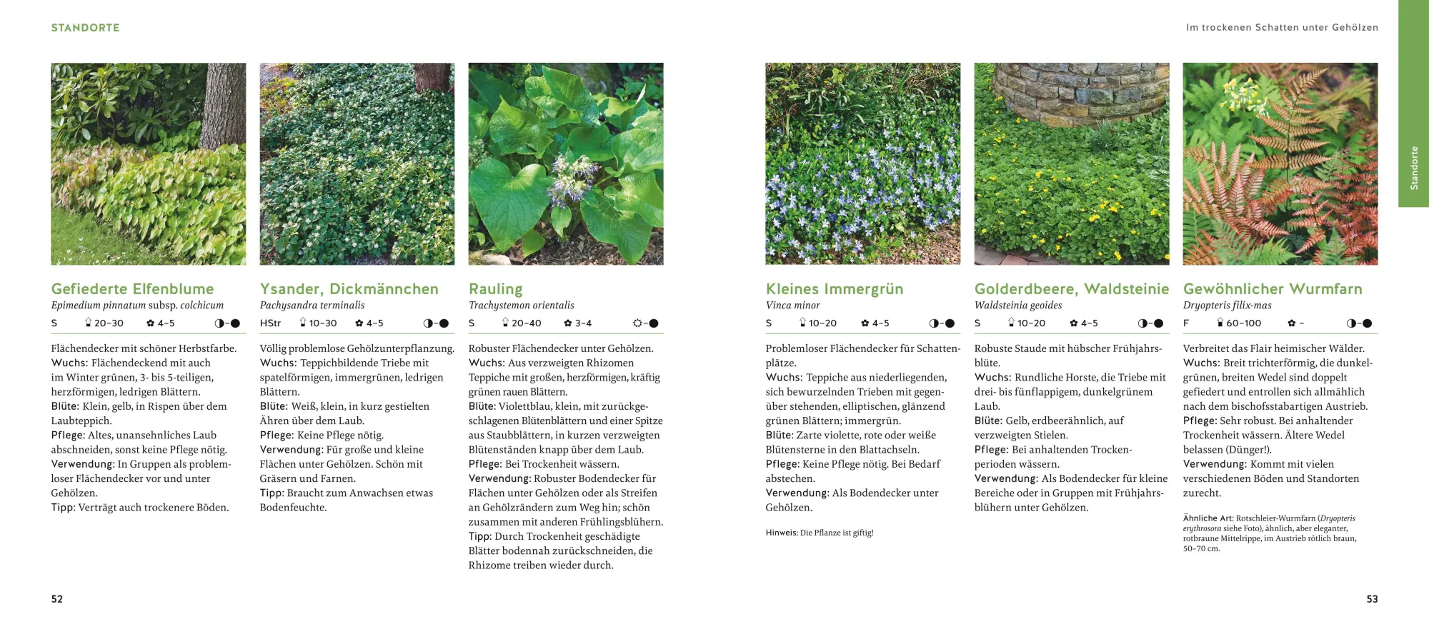 Bild: 9783833895494 | Quickfinder Welche Pflanze passt wohin? | Thomas Hagen | Taschenbuch
