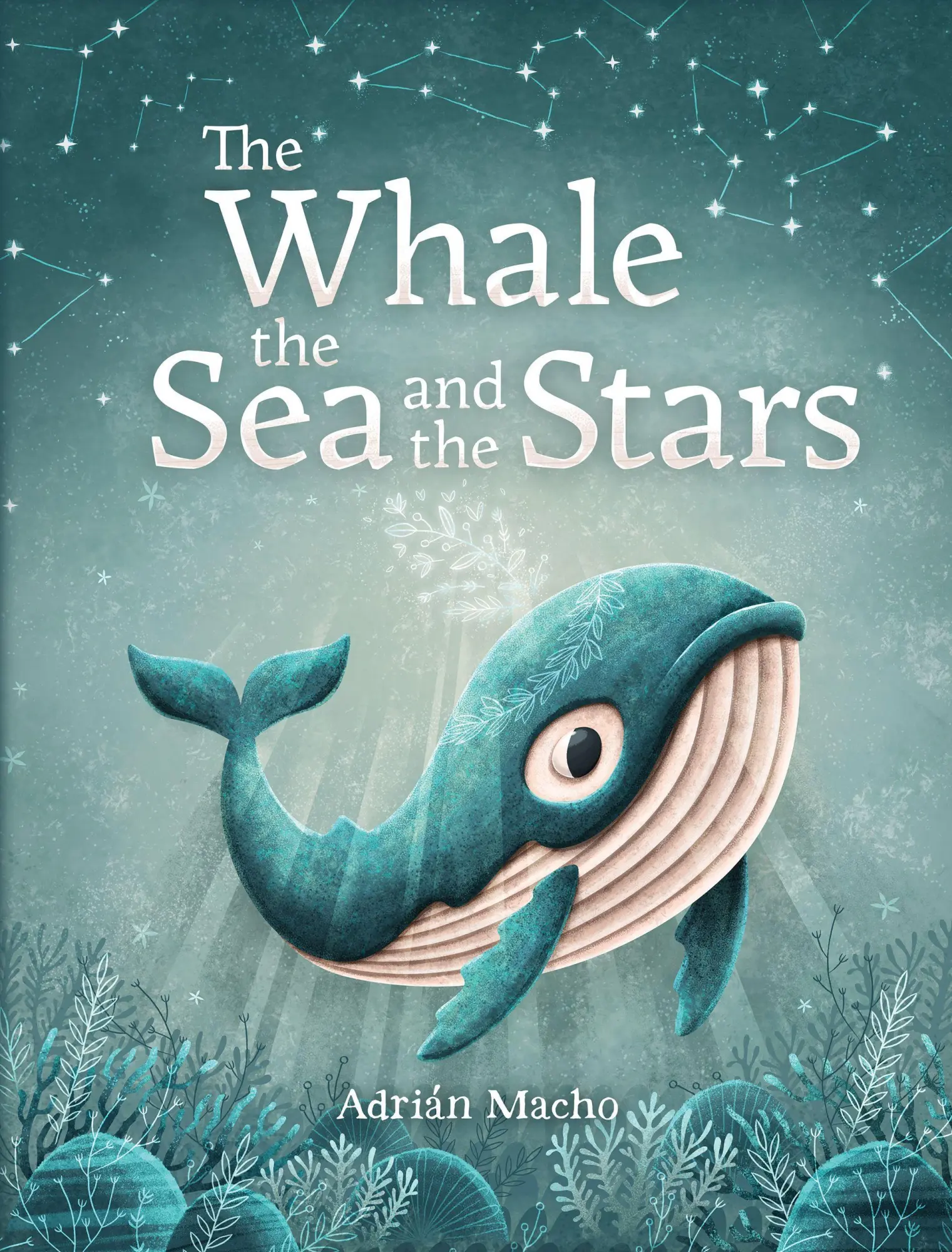 Cover: 9781782505594 | The Whale, the Sea and the Stars | Macho | Buch | Gebunden | Englisch