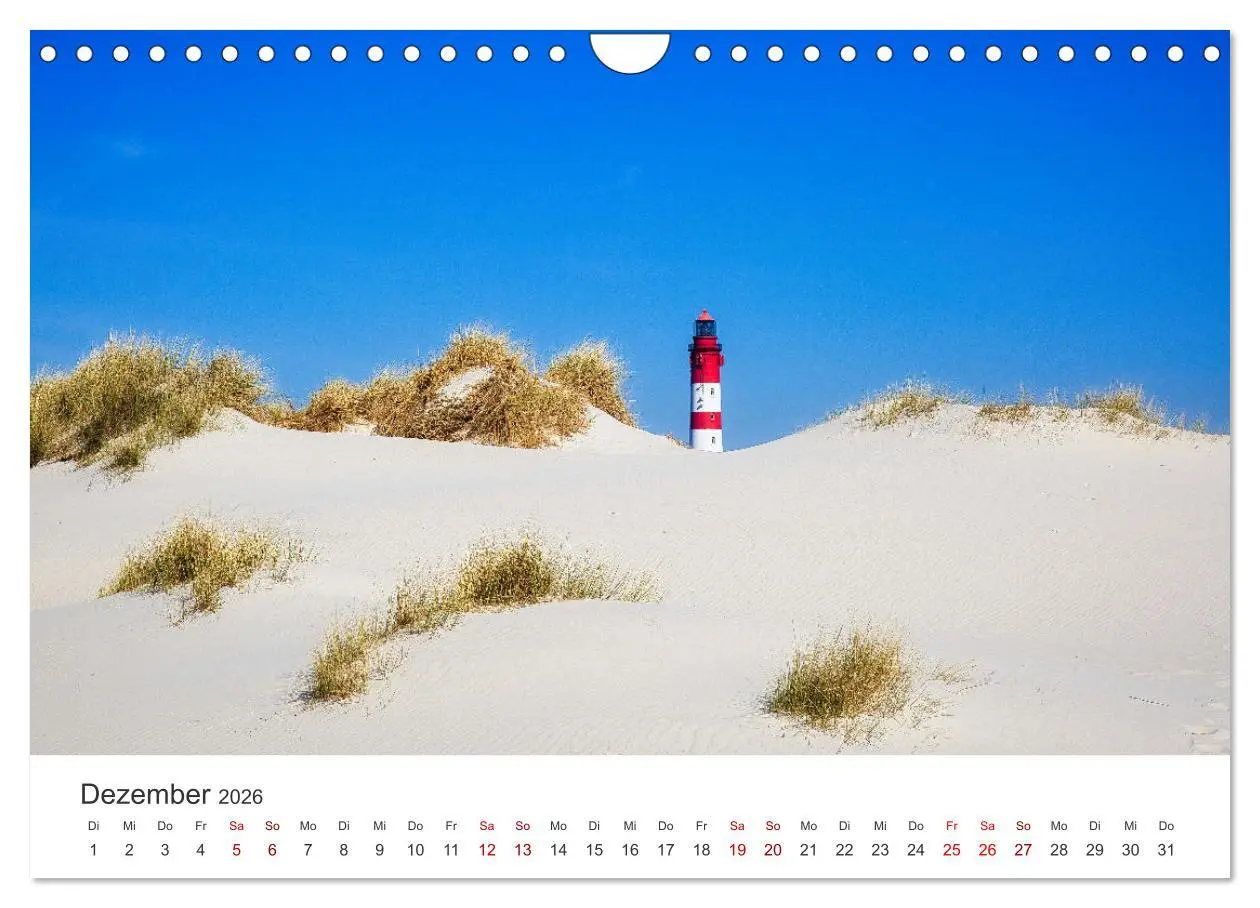 Bild: 9783457375594 | Amrum - Perle der Nordsee (Wandkalender 2026 DIN A4 quer), CALVENDO...