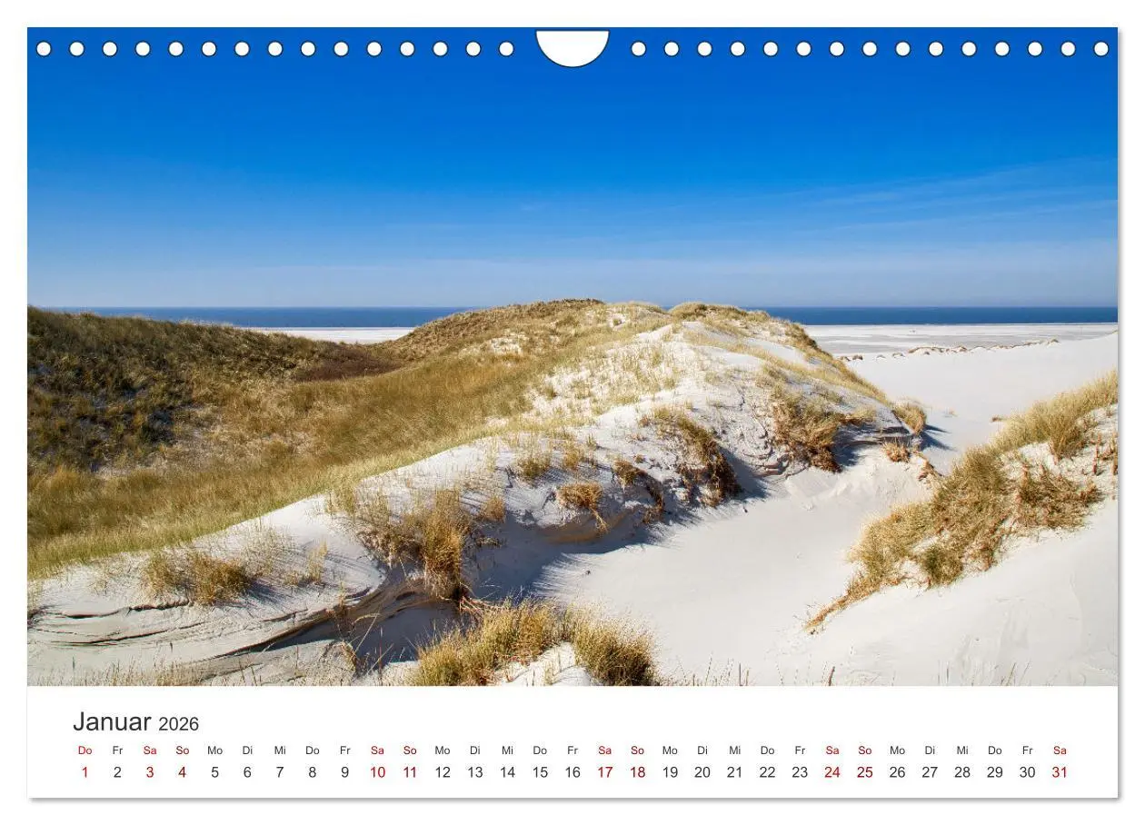 Bild: 9783457375594 | Amrum - Perle der Nordsee (Wandkalender 2026 DIN A4 quer), CALVENDO...