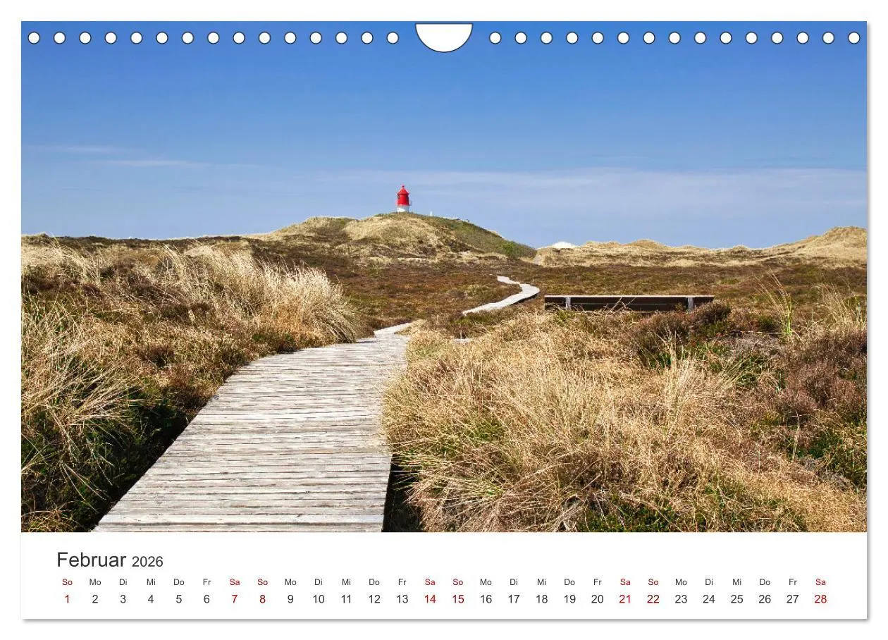 Bild: 9783457375594 | Amrum - Perle der Nordsee (Wandkalender 2026 DIN A4 quer), CALVENDO...