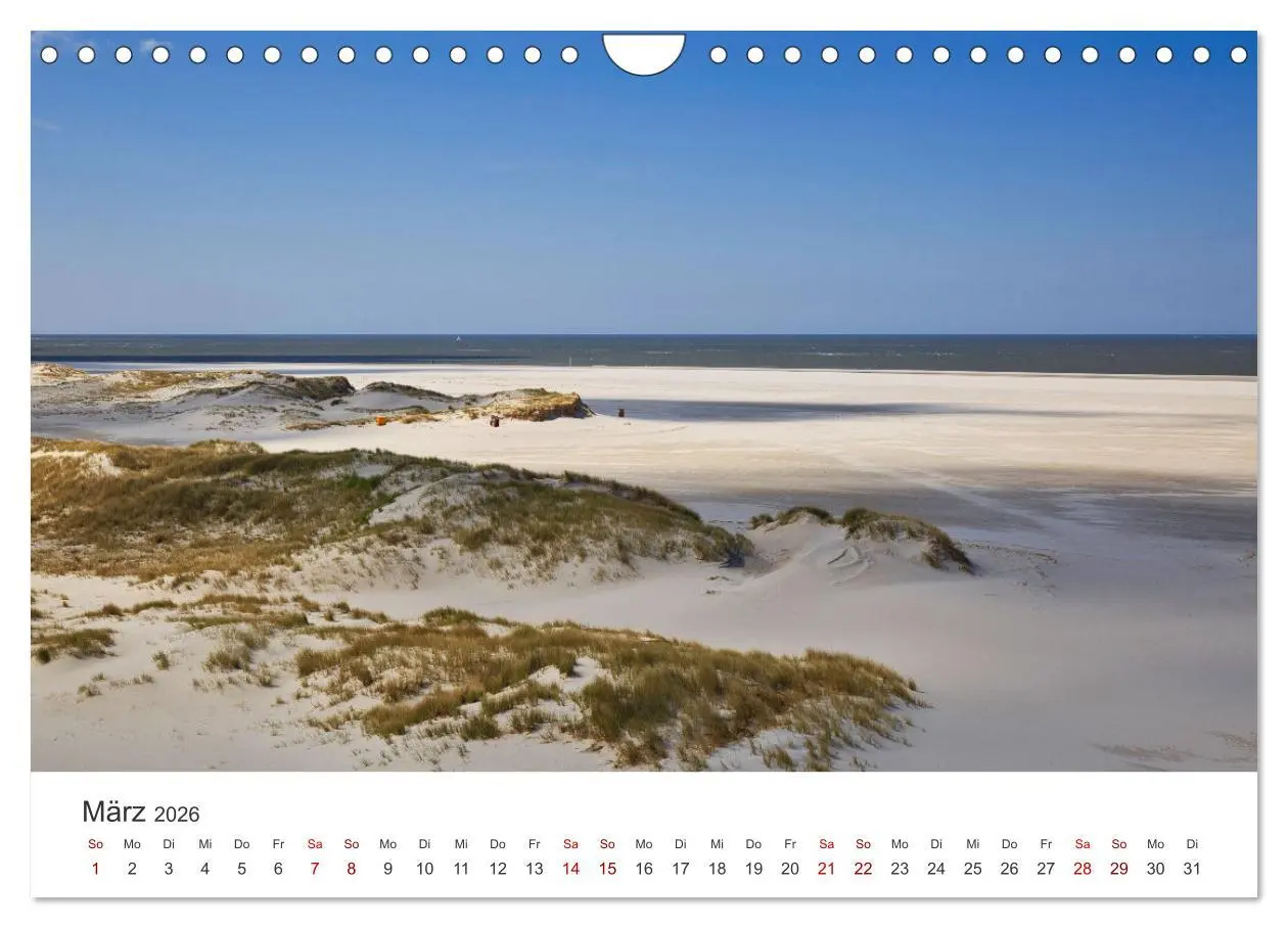Bild: 9783457375594 | Amrum - Perle der Nordsee (Wandkalender 2026 DIN A4 quer), CALVENDO...