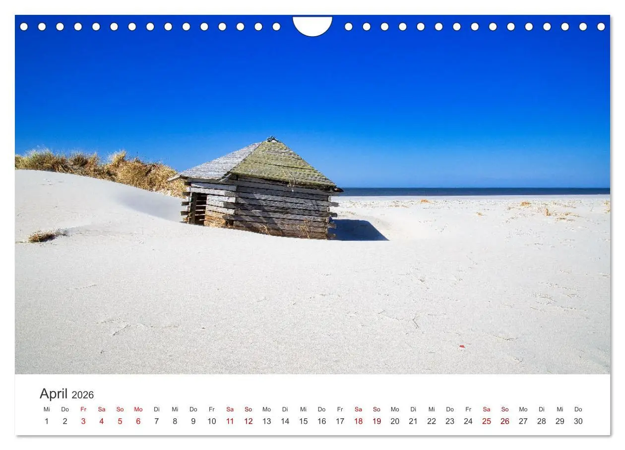 Bild: 9783457375594 | Amrum - Perle der Nordsee (Wandkalender 2026 DIN A4 quer), CALVENDO...