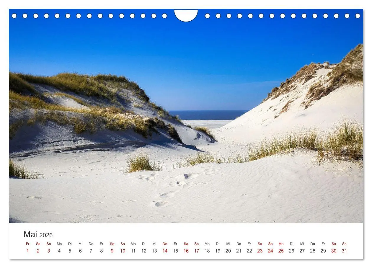 Bild: 9783457375594 | Amrum - Perle der Nordsee (Wandkalender 2026 DIN A4 quer), CALVENDO...
