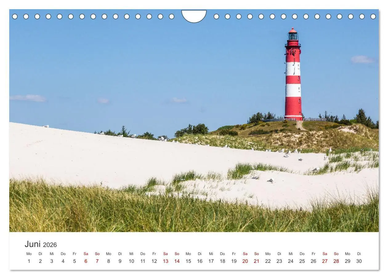 Bild: 9783457375594 | Amrum - Perle der Nordsee (Wandkalender 2026 DIN A4 quer), CALVENDO...