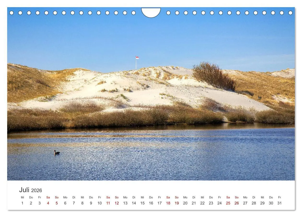 Bild: 9783457375594 | Amrum - Perle der Nordsee (Wandkalender 2026 DIN A4 quer), CALVENDO...