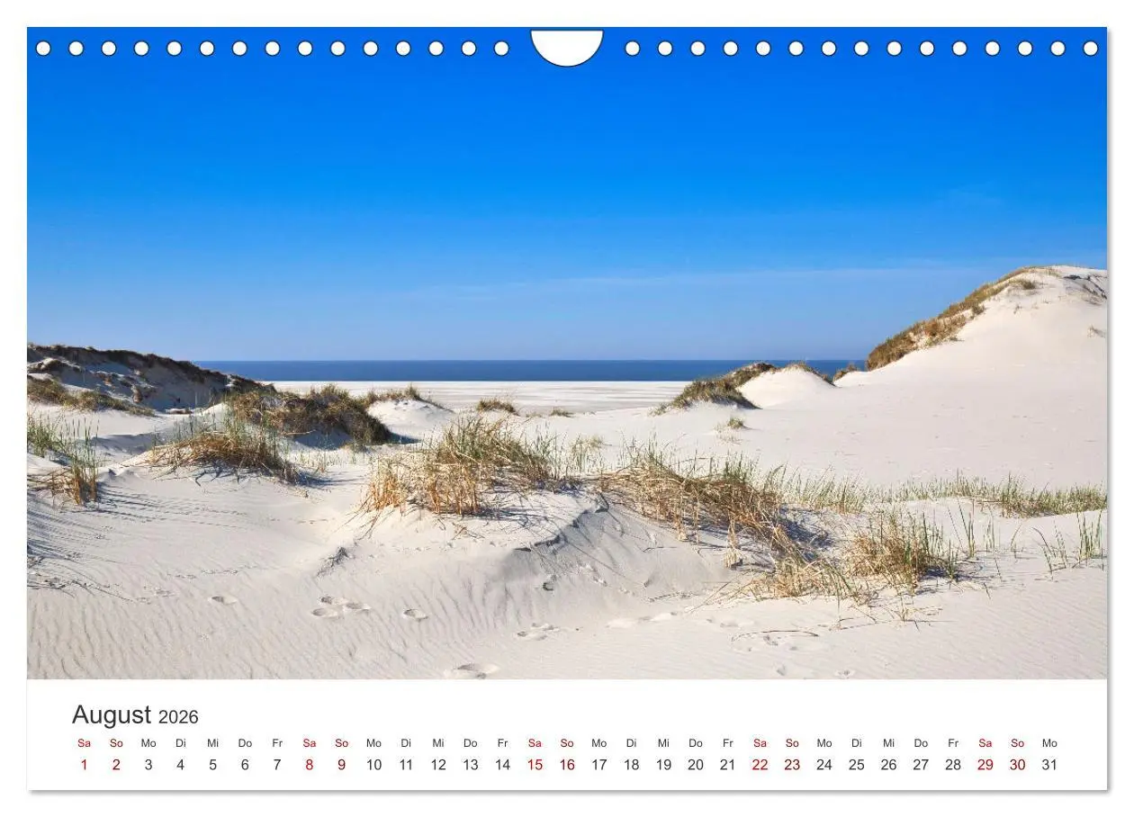 Bild: 9783457375594 | Amrum - Perle der Nordsee (Wandkalender 2026 DIN A4 quer), CALVENDO...