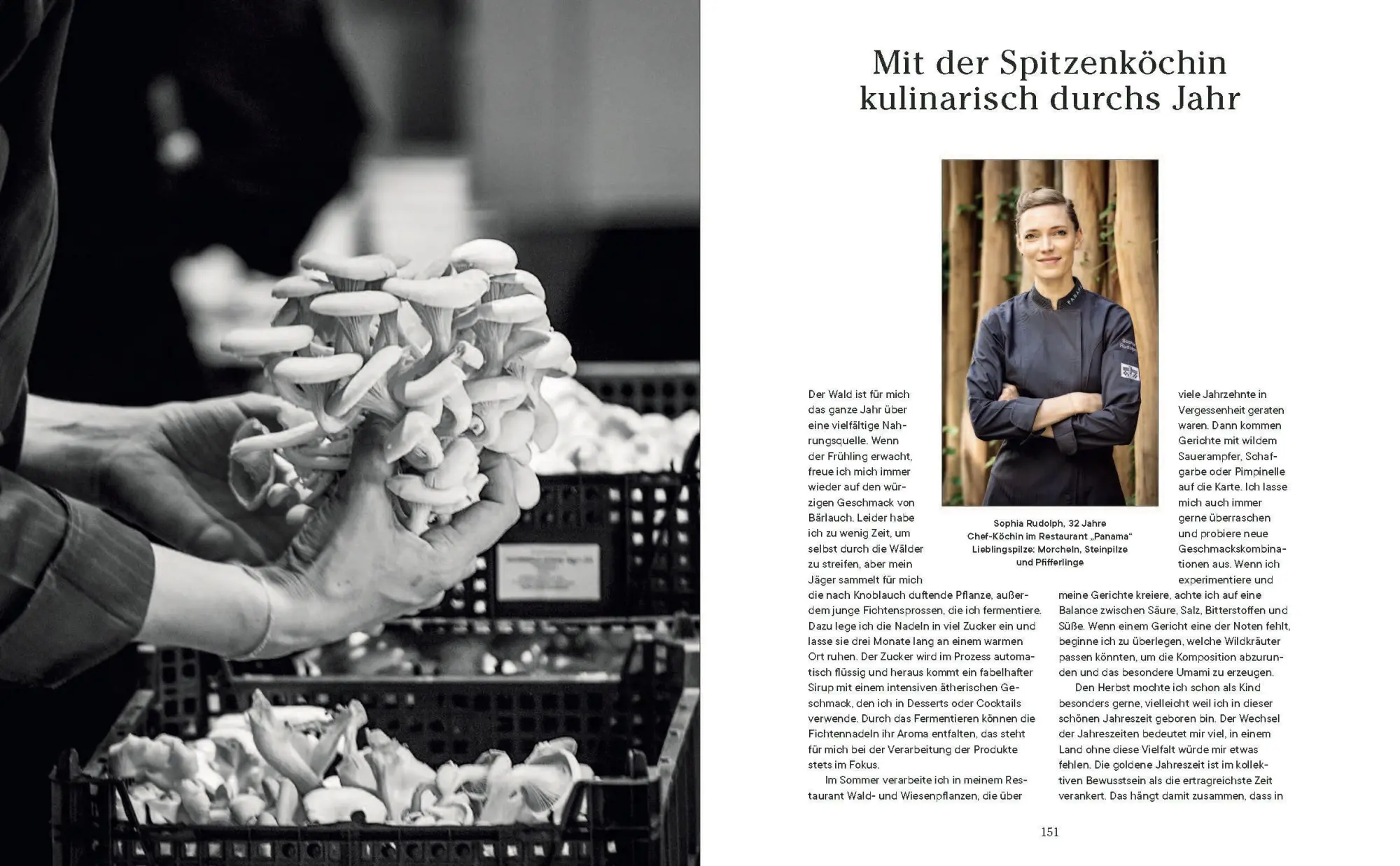 Bild: 9783791385594 | Into the Woods: Pilze suchen und Glück finden | Moritz Schmid | Buch