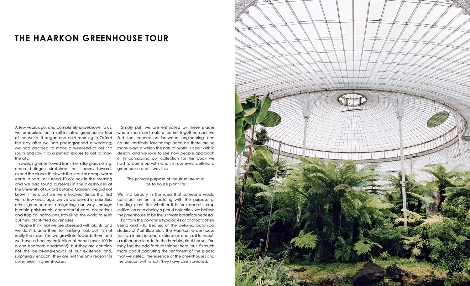 Bild: 9781911595694 | Glasshouse Greenhouse | India Hobson (u. a.) | Buch | Gebunden | 2019