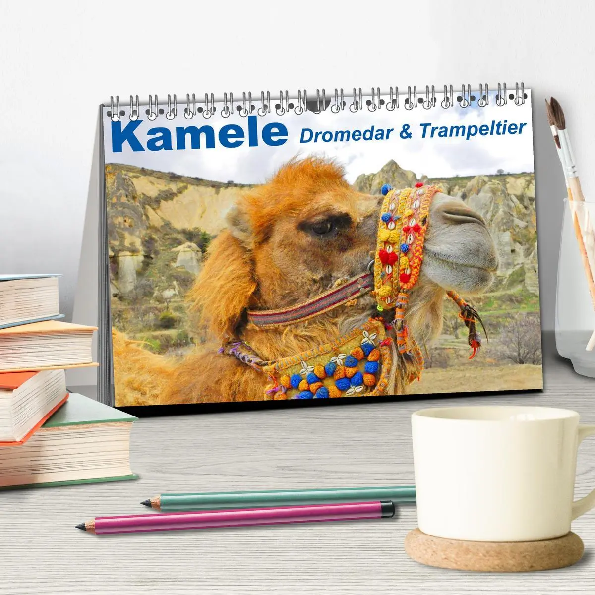 Bild: 9783516145694 | Kamele ¿ Dromedar &amp; Trampeltier (Tischkalender 2026 DIN A5 quer),...