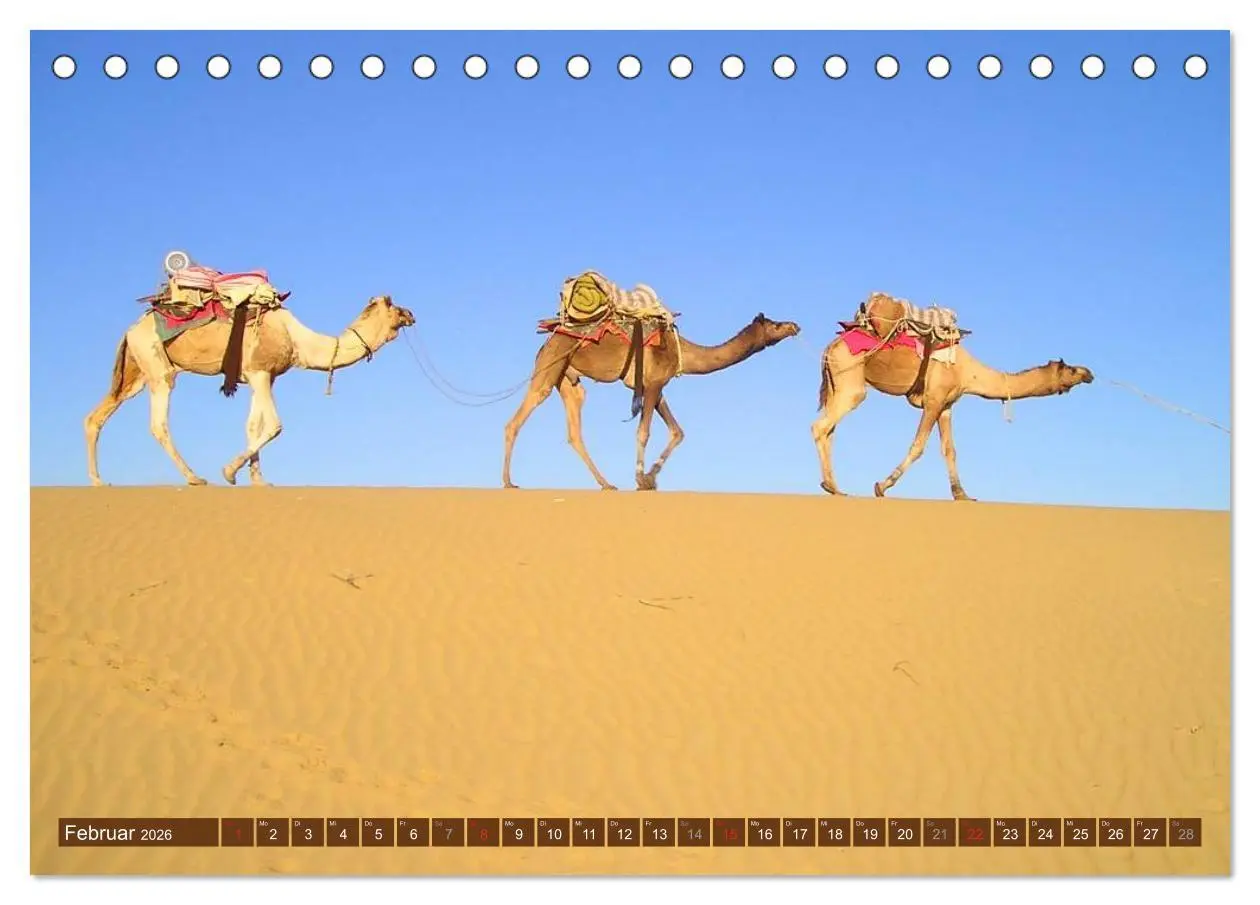 Bild: 9783516145694 | Kamele ¿ Dromedar &amp; Trampeltier (Tischkalender 2026 DIN A5 quer),...