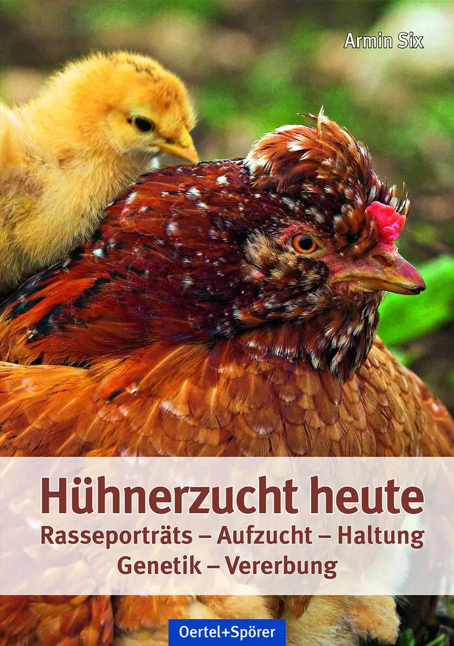 Cover: 9783886275694 | Hühnerzucht heute | Armin Six | Buch | 236 S. | Deutsch | 2018
