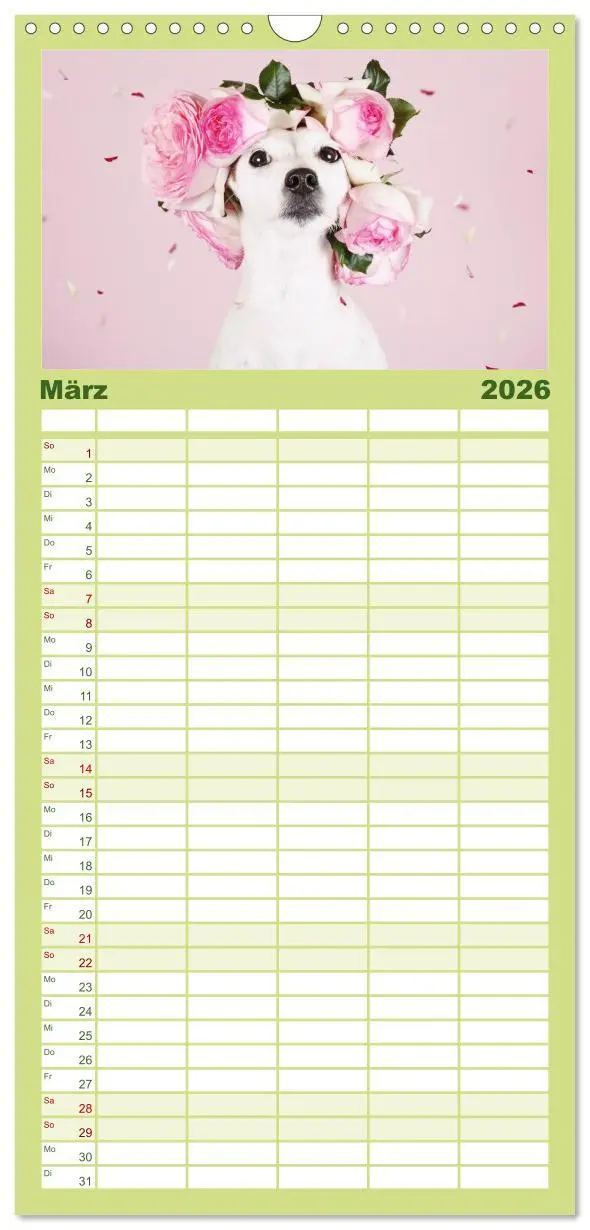 Bild: 9783516515794 | Familienplaner 2026 - Die Parson-Russell-Terrier ...mit neuen...
