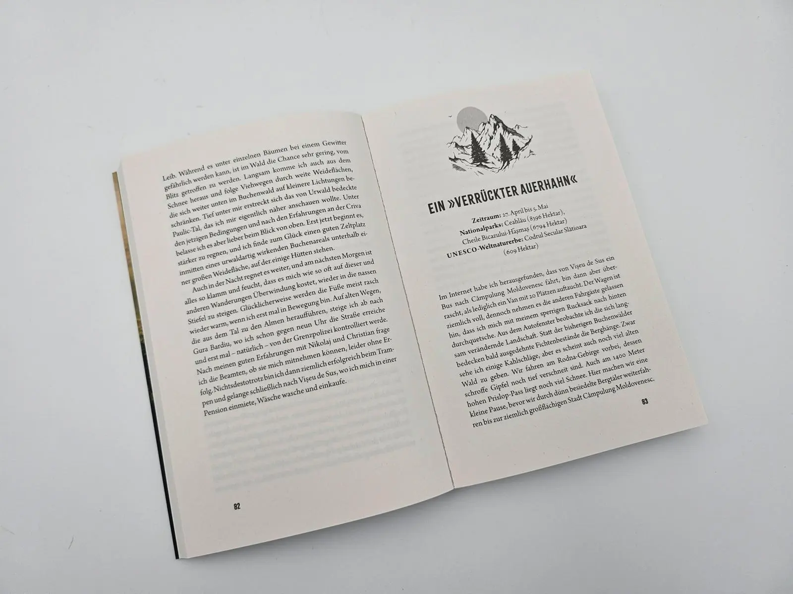 Bild: 9783890295794 | Durchs wilde Herz der Karpaten | Gerald Klamer | Taschenbuch | 272 S.