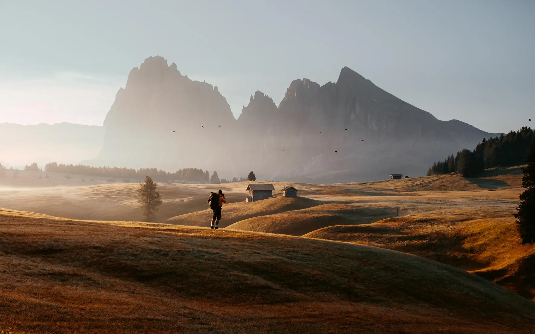 Bild: 9783961715794 | Escape | Guerel Sahin | Buch | 272 S. | Deutsch | 2025