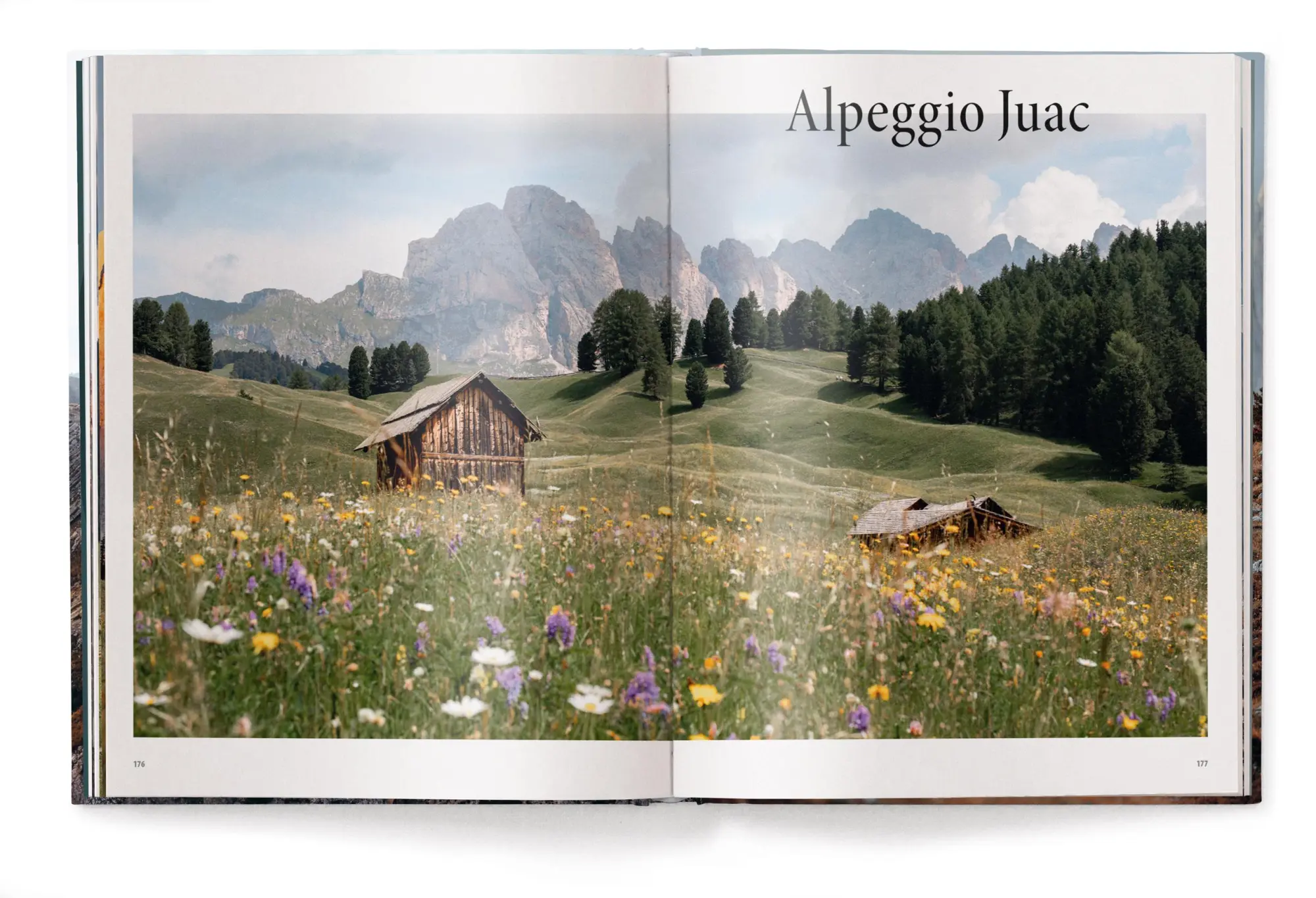 Bild: 9783961715794 | Escape | Guerel Sahin | Buch | 272 S. | Deutsch | 2025