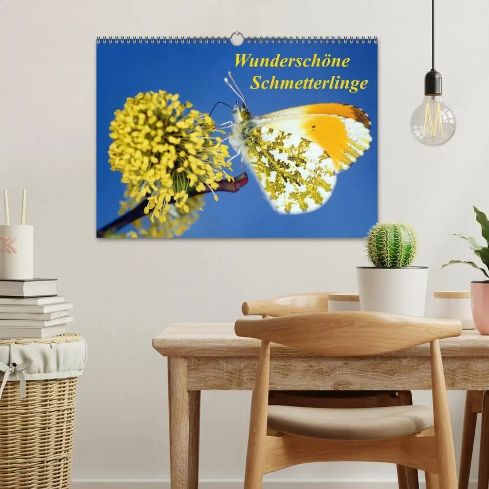 Bild: 9783435705894 | Wunderschöne Schmetterlinge (Wandkalender 2025 DIN A3 quer),...