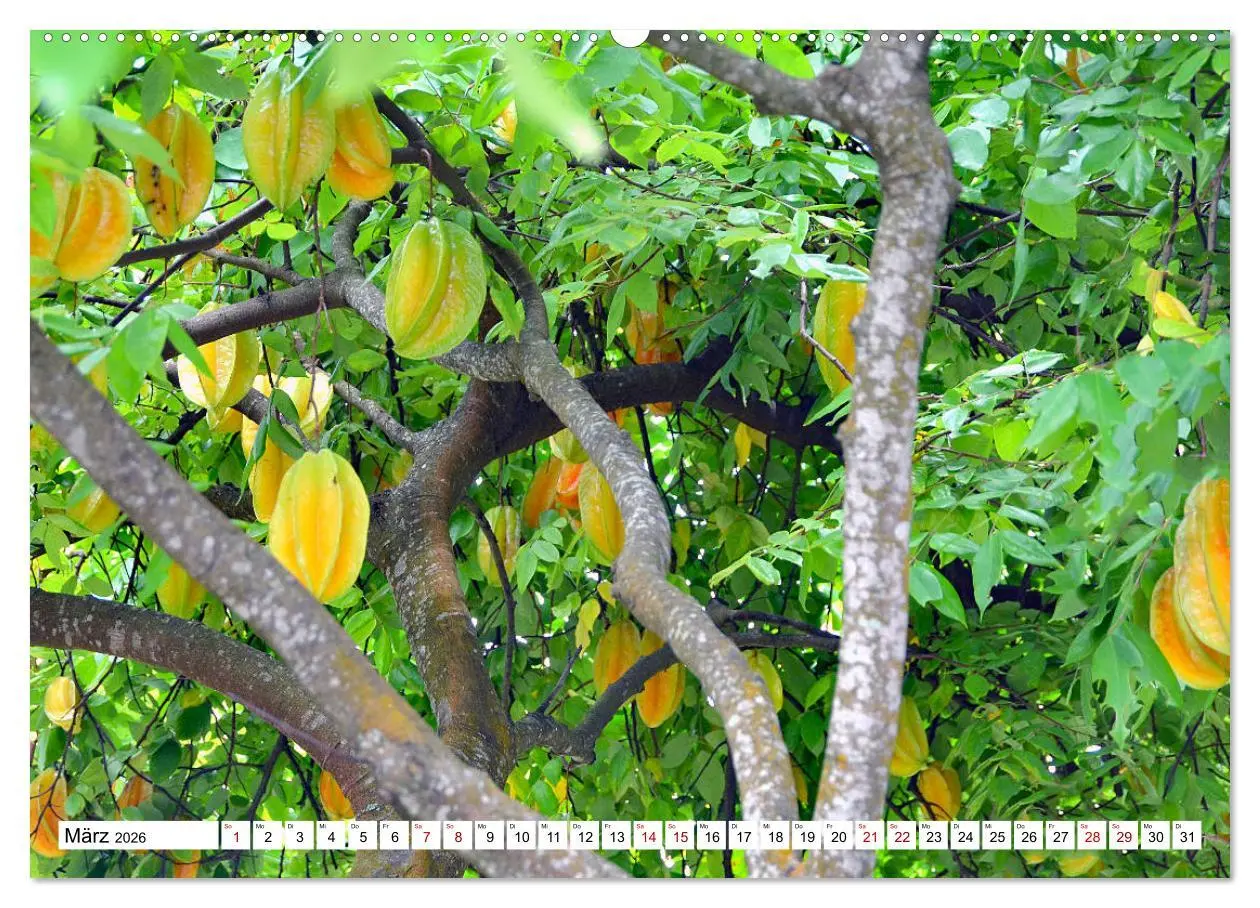 Bild: 9783457725894 | Rarotonga - Trauminsel im Südpazifik. (hochwertiger Premium...