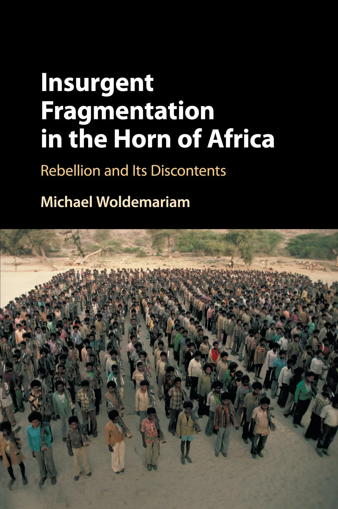 Cover: 9781108435994 | Insurgent Fragmentation in the Horn of Africa | Michael Woldemariam