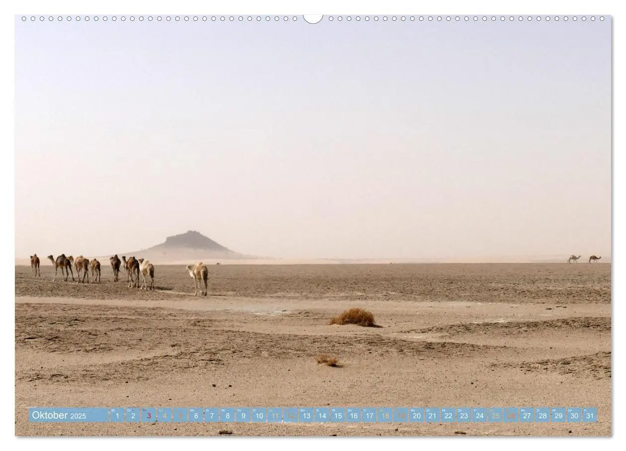 Bild: 9783435485994 | Sehnsucht Sahara (Wandkalender 2025 DIN A2 quer), CALVENDO...