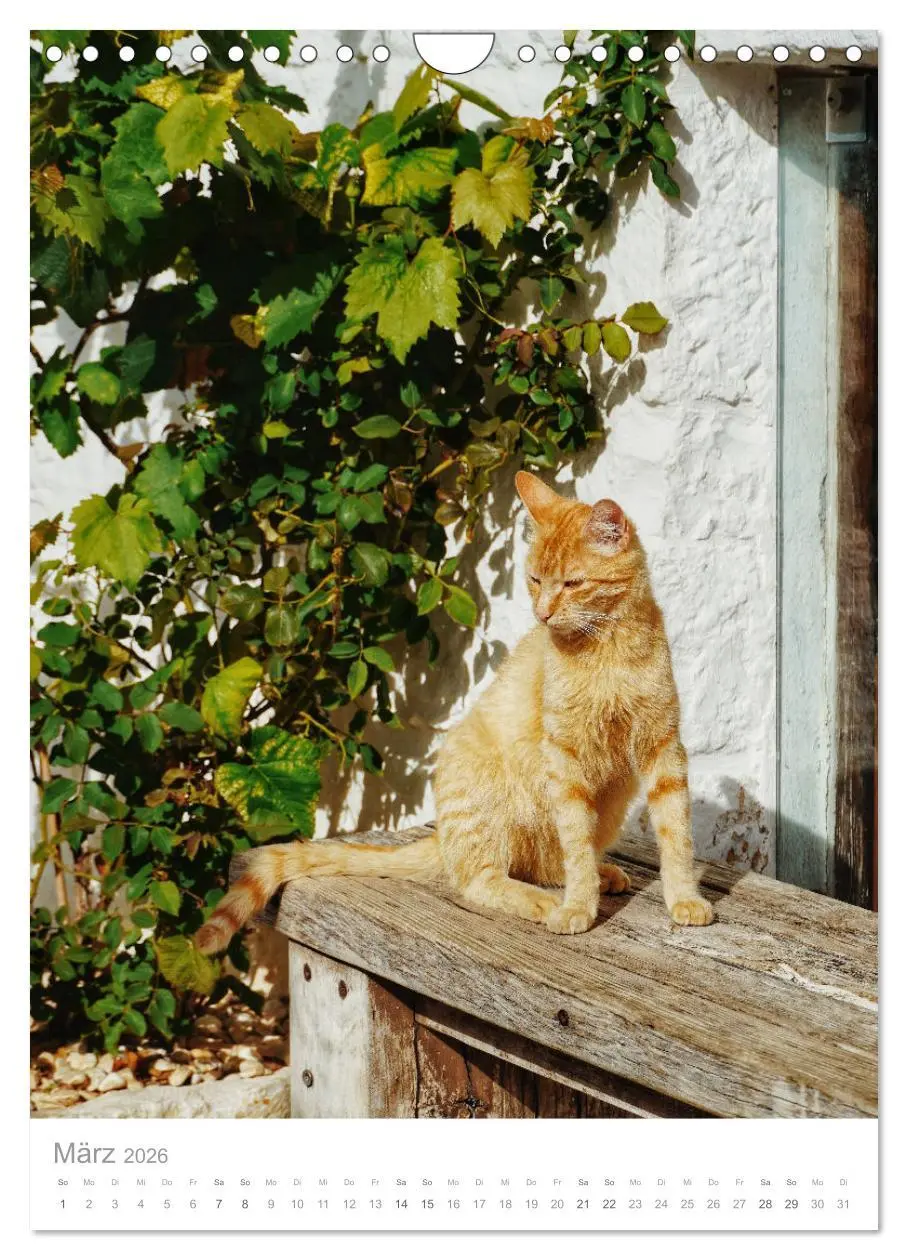 Bild: 9783516355994 | Apulien (Wandkalender 2026 DIN A4 hoch), CALVENDO Monatskalender