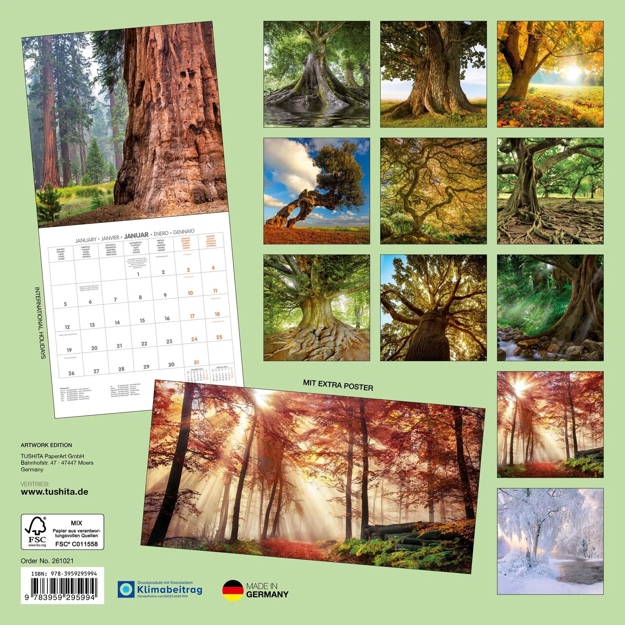 Rückseite: 9783959295994 | Die Kraft der Bäume 2026 | Kalender 2026 | Kalender | Artwork Edition