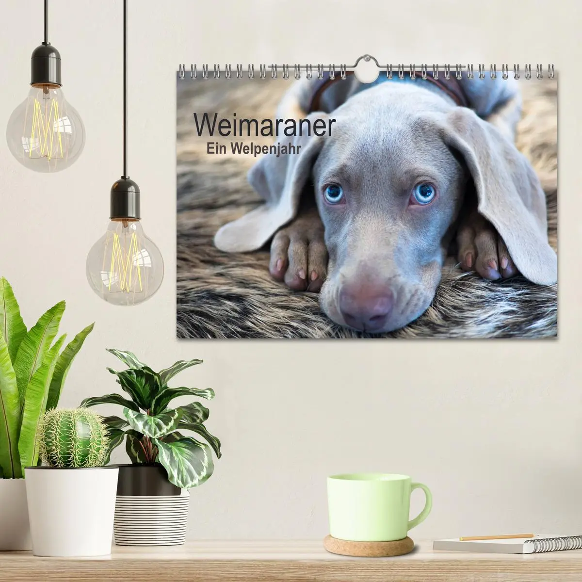 Bild: 9783457846094 | Weimaraner - Ein Welpenjahr (Wandkalender 2026 DIN A4 quer),...