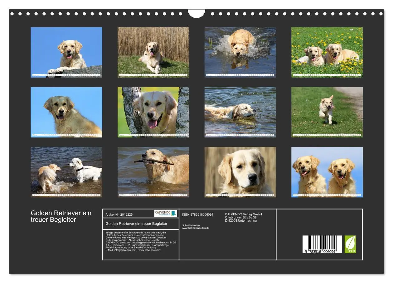 Bild: 9783516006094 | Golden Retriever ein treuer Begleiter (Wandkalender 2026 DIN A3...