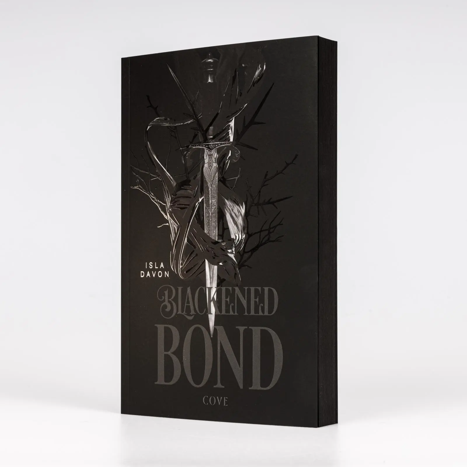 Bild: 9783551586094 | Blackened Blade 2: A Blackened Bond | Isla Davon | Taschenbuch | 2025