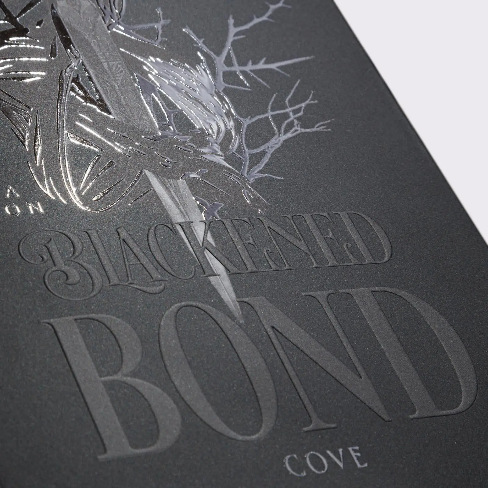 Bild: 9783551586094 | Blackened Blade 2: A Blackened Bond | Isla Davon | Taschenbuch | 2025