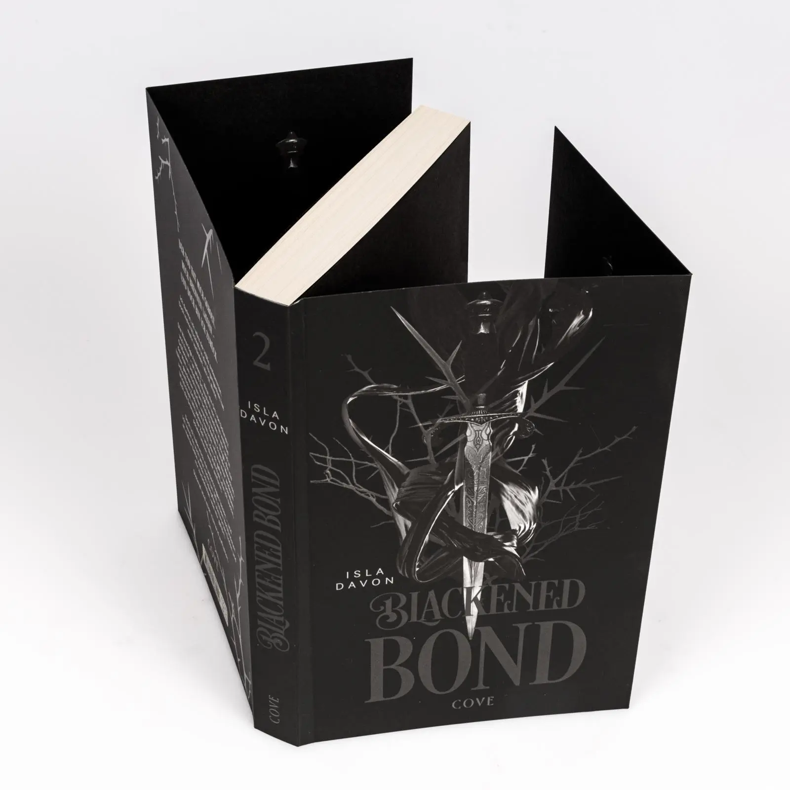 Bild: 9783551586094 | Blackened Blade 2: A Blackened Bond | Isla Davon | Taschenbuch | 2025