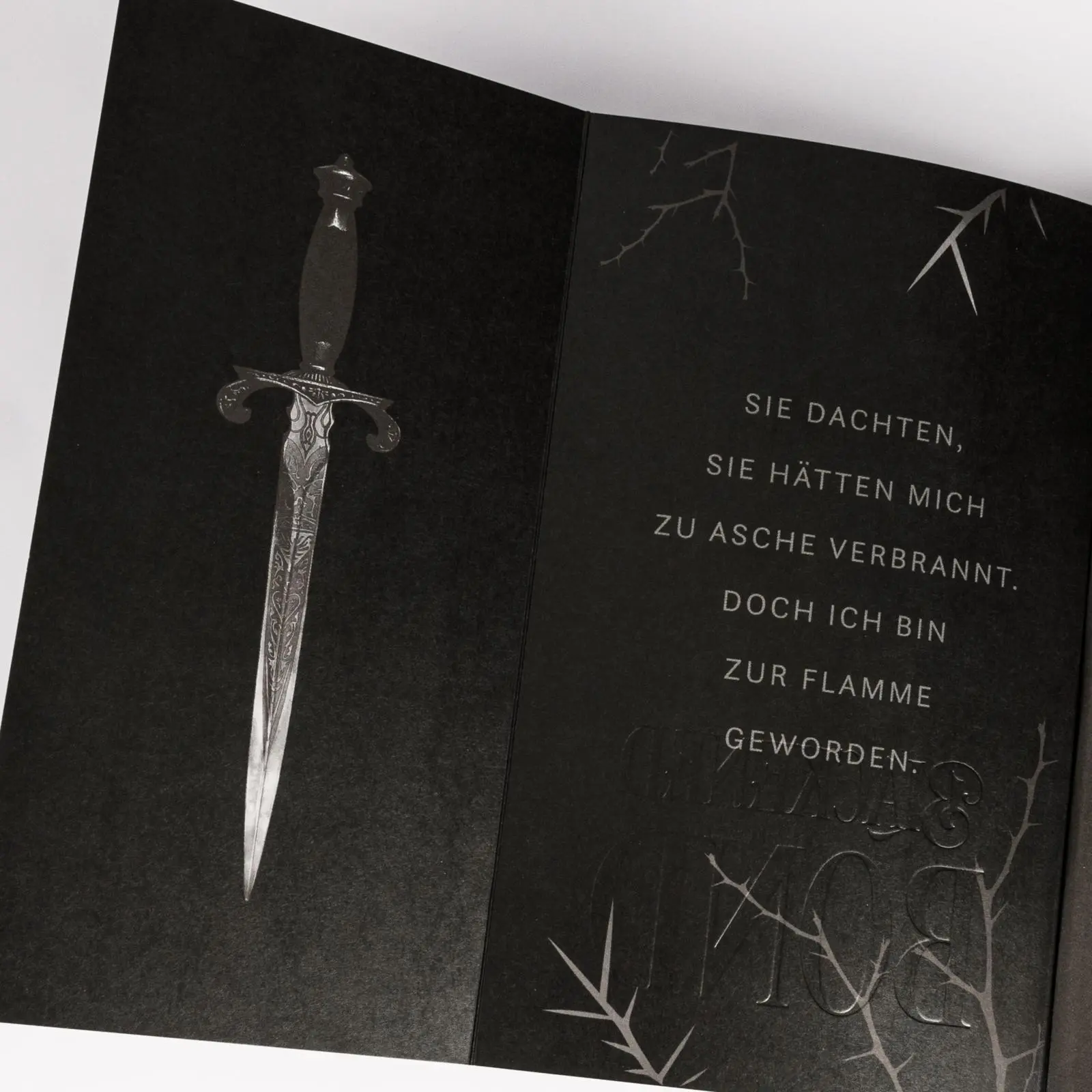 Bild: 9783551586094 | Blackened Blade 2: A Blackened Bond | Isla Davon | Taschenbuch | 2025