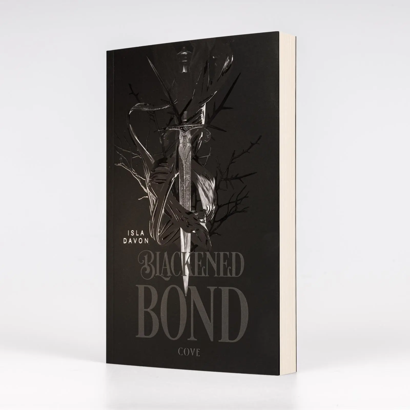 Bild: 9783551586094 | Blackened Blade 2: A Blackened Bond | Isla Davon | Taschenbuch | 2025