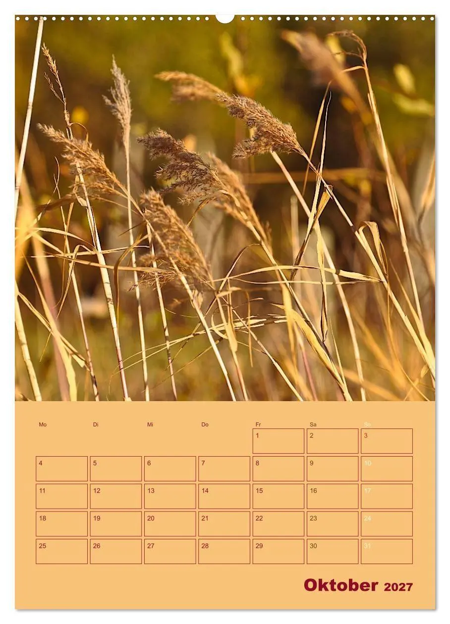 Bild: 9783594086094 | Wald- und Wiesenkalender 2027 Planer (Wandkalender 2027 DIN A2...