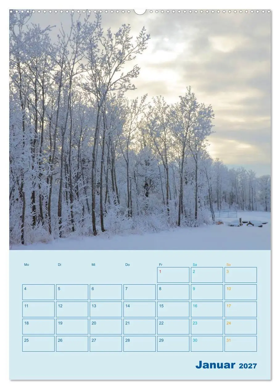 Bild: 9783594086094 | Wald- und Wiesenkalender 2027 Planer (Wandkalender 2027 DIN A2...