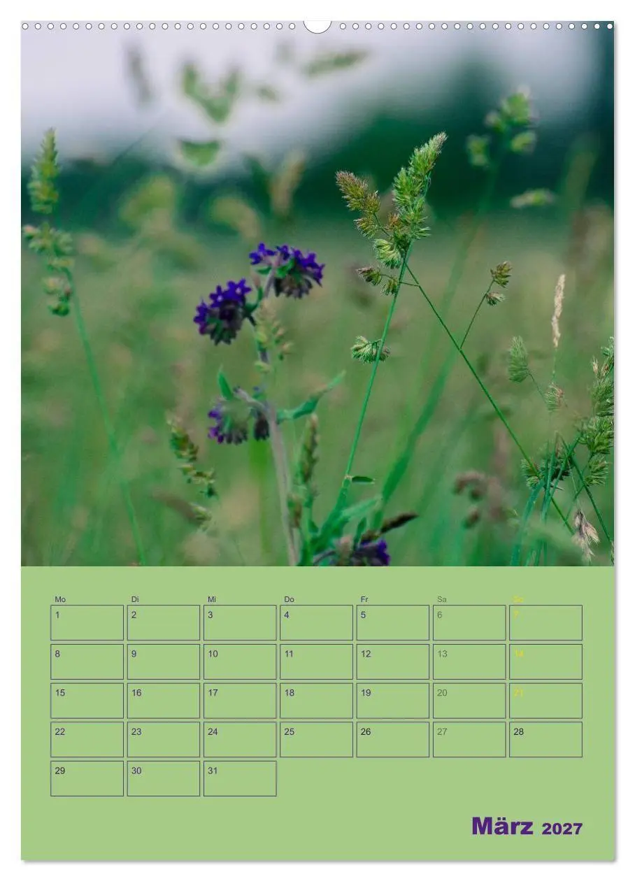 Bild: 9783594086094 | Wald- und Wiesenkalender 2027 Planer (Wandkalender 2027 DIN A2...