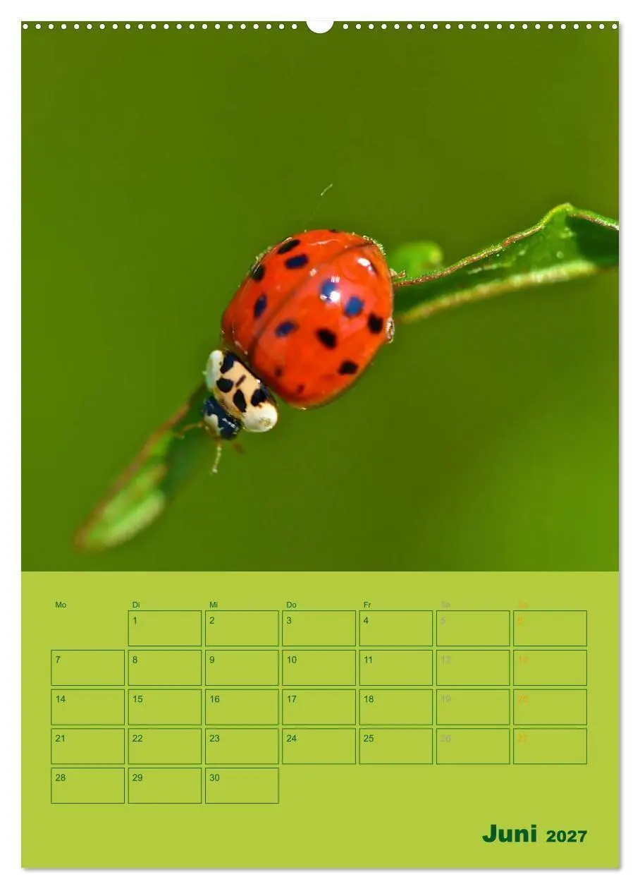 Bild: 9783594086094 | Wald- und Wiesenkalender 2027 Planer (Wandkalender 2027 DIN A2...