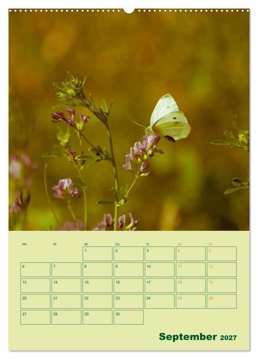 Bild: 9783594086094 | Wald- und Wiesenkalender 2027 Planer (Wandkalender 2027 DIN A2...