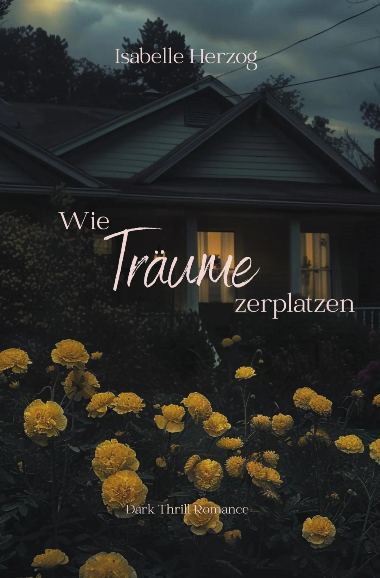 Cover: 9783759276094 | Wie Träume zerplatzen | Isabelle Herzog | Taschenbuch | 308 S. | 2024