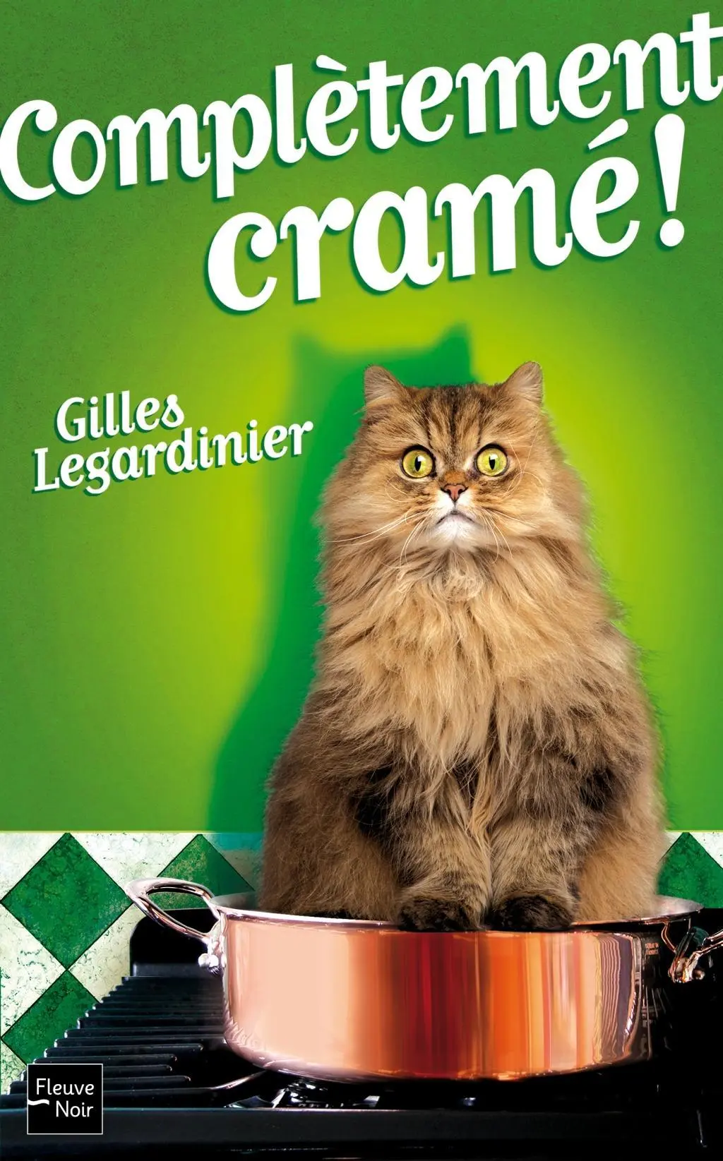 Cover: 9782266246194 | Complètement cramé | Gilles Legardinier | Taschenbuch | 425 S. | 2014