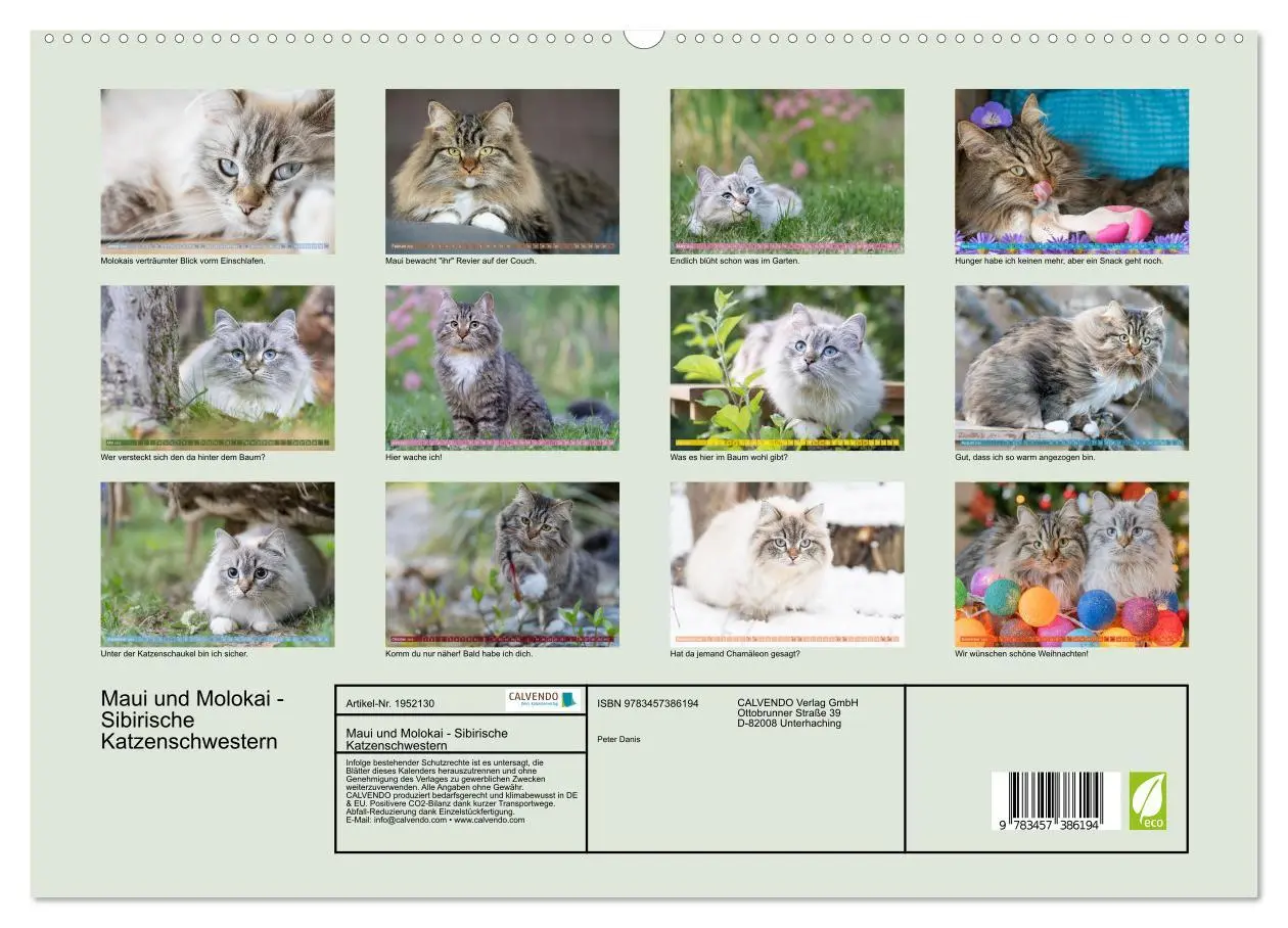 Bild: 9783457386194 | Maui und Molokai - Sibirische Katzenschwestern (hochwertiger...